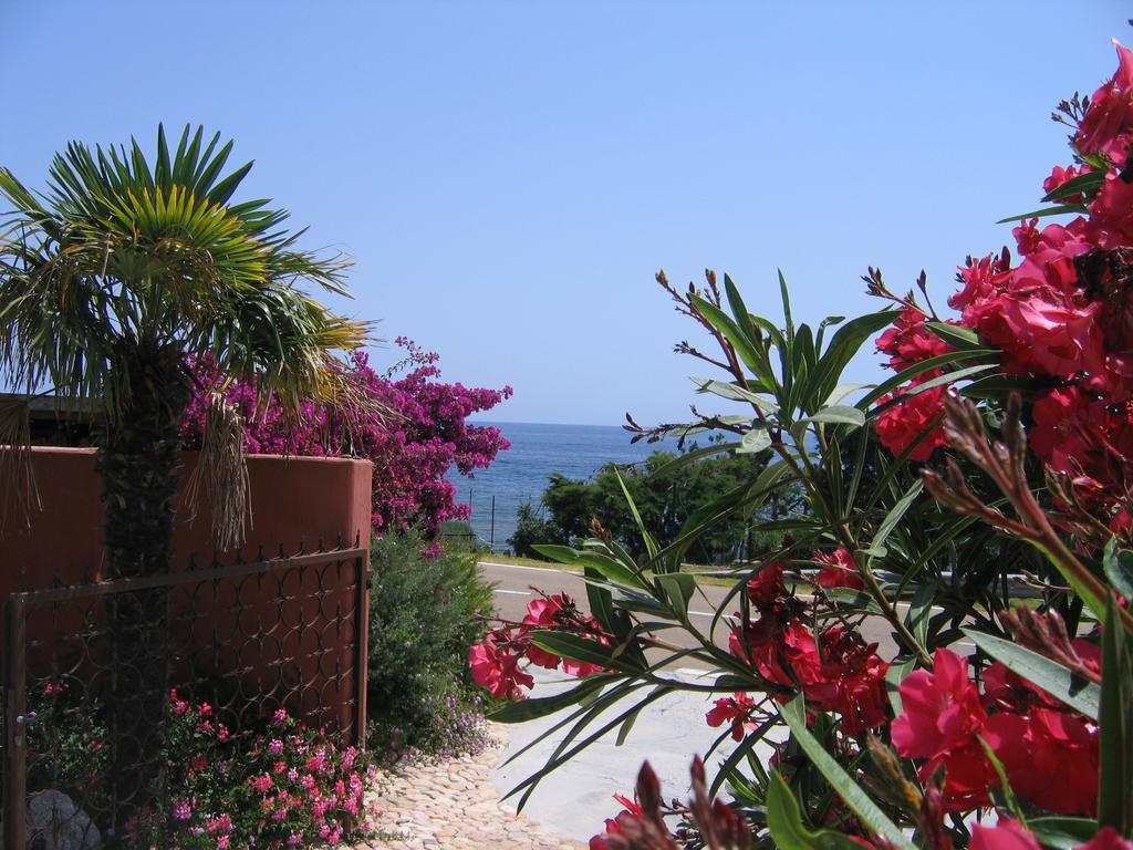 Les Bungalows De Figha Tarcu Екстер'єр фото
