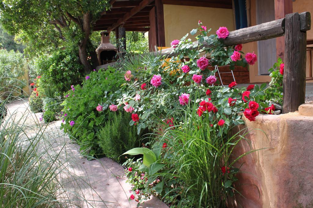 Les Bungalows De Figha Tarcu Екстер'єр фото